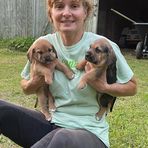 Dorothy Seitz - Facebook