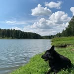 Dorothy Self - @dorothyself19 - Instagram