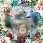 Dorothy Shaffer - @hotrodgranny2003 - Instagram