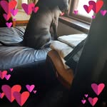 Dorothy Sharp - @dorothysharp2335 - Instagram