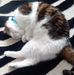 Dorothy Sharp - Facebook