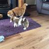 Pat shields - @dorothy.shields - TikTok