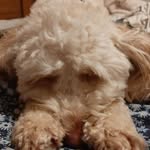 Dorothy Simpson - @dorothy.simpson.927 - Instagram