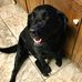 Dorothy Simpson - Facebook