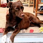 Dorothy Simpson - @dorothy.simpson.520900 - Instagram