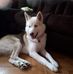 Dorothy Sisson - Facebook