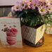 Dorothy Sisson - Facebook