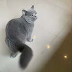 dorothy.skypiea - @dorothy.skypiea - Instagram