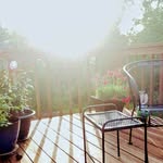 Dorothy Smart - @dorothy.smart.5243 - Instagram