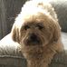 Dorothy Spence - Facebook