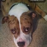 Dorothy Spencer - @dorothyspencer1944 - Instagram