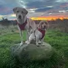 Dotty - @dorothyspence - TikTok