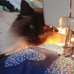 Dorothy Stanley - @dorothy.stanley.1213 - Instagram