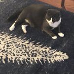 Dorothy Stark - @dorothy.stark.986 - Instagram