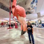 Dorothy Todd Neufeld - @dorothytoddneufeld - Instagram