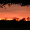 dorothytravis540 - @dorothytravis540 - TikTok