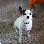 Dorothy Tuttle - Facebook