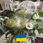 Dorothy Viola Zander - @zander5529 - Instagram