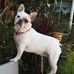 Dorothy Wainwright - Facebook