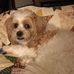 Dorothy Walters - Facebook