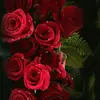 Dorothystar ❤🌹 - @dorothywalters705 - TikTok