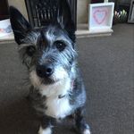 Dorothy Ward - @dorothyward3132 - Instagram