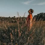 Dorothy Ware - @dorothyware136 - Instagram