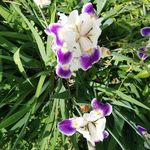 Dorothy Warner - @dorothywarnervalpo - Instagram