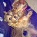 Dorothy Warner - Facebook