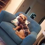 Dorothy Warner - @dorothywarner36897dorothywarne - Instagram