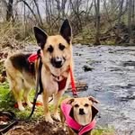 Dorothy Warner Bolinsky - @dorothy_warner_bolinsky - Instagram