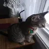 Dorothy Webb - @dorothy.webb57 - TikTok