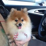 Dorothy Webb - @dorothy_webb_886419 - Instagram
