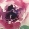 Dorothy Webb - @dorothy.webb - TikTok