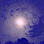 Dorothea Evonne Whitlock - @dothwhitlock - Instagram
