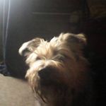 Dorothy Whitton - @whittondorothy - Instagram