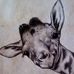 Dorothy Willcoxon - Facebook
