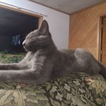 Dorothy Willingham - @willinghamdorothy - Instagram