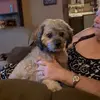 Dorothy Corwin - @dorothy.corwin - TikTok