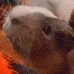 Dorothy Winchell - Facebook