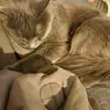 Dorothy Winchell - @dorothy.winchell - TikTok