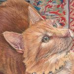 Dorothy Winchell Art - @dorothywinchellart - Instagram