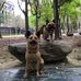 Dorothy Yang - Facebook