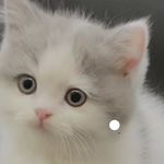 Dorothy Yip - @dorothyip16 - Instagram