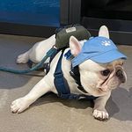 PY Dorothy Yip - @flyingfishdorothy - Instagram