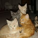 Dorte Jensen - @dorte.jensen.9083 - Instagram