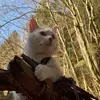 Dorte Jensen - @dorte.jensen5 - TikTok