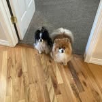 Dorothy Erickson - @dorothyde62 - Instagram