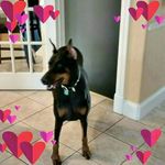 Dorothy Gilbert - @dorothy.gilbert.92 - Instagram