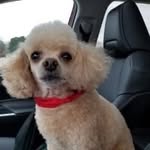 Dorothy Harmon - @dorothy7227159 - Instagram